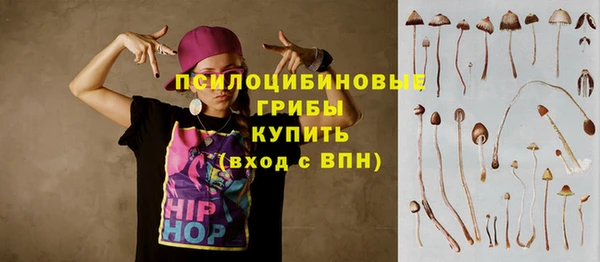 а пвп мука Кукмор