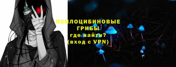 а пвп мука Кукмор